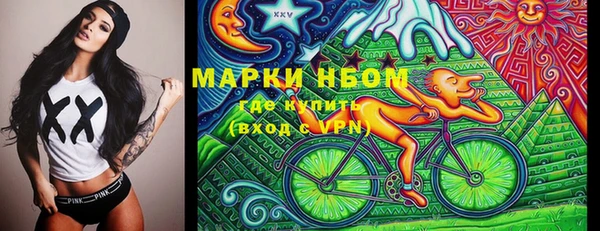 ECSTASY Гусь-Хрустальный