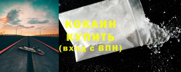 ECSTASY Гусь-Хрустальный