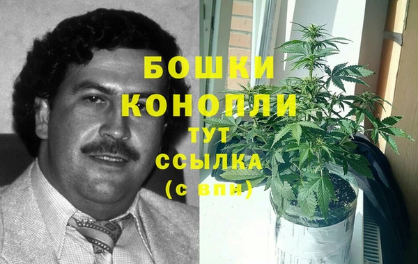 ECSTASY Гусь-Хрустальный