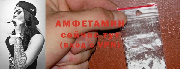ECSTASY Гусь-Хрустальный
