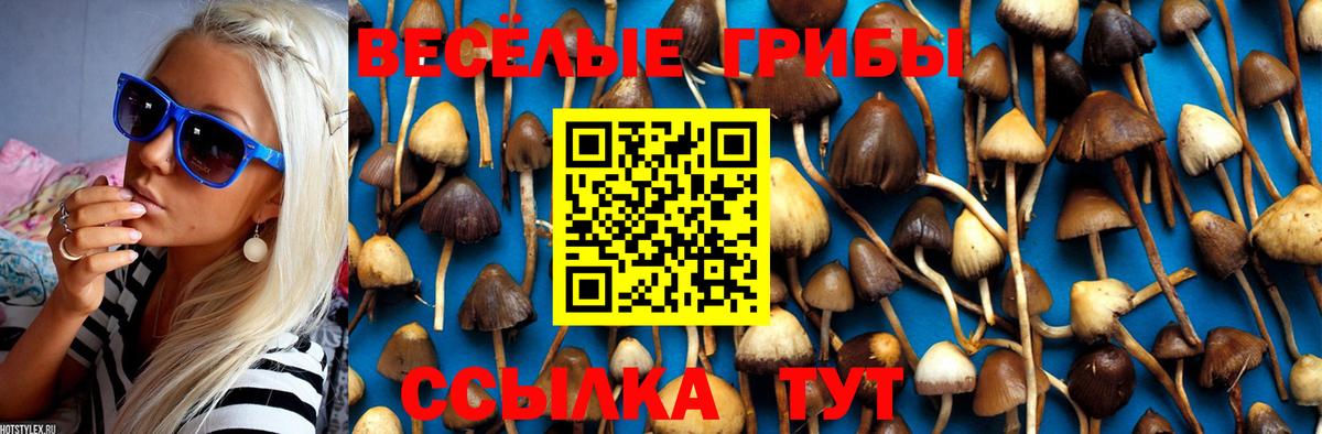 Моршанск  Псилоцибиновые грибы ЛСД  Вход с VPN  Галлюциногенные грибы GOLDEN TEACHER 