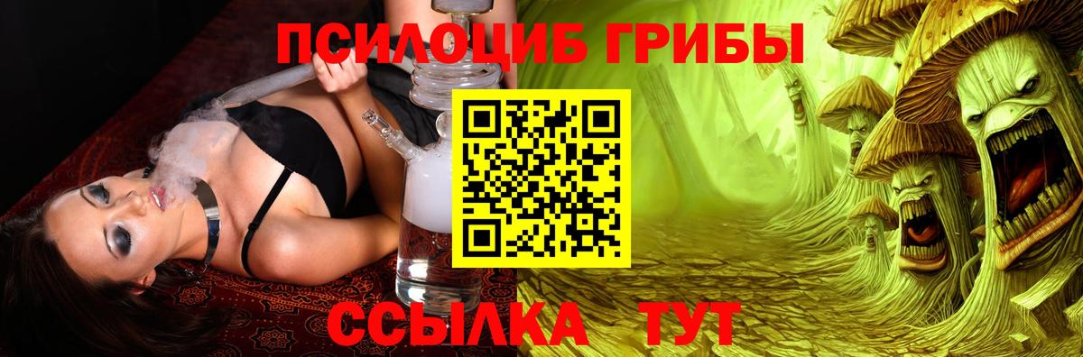 Псилоцибиновые грибы мицелий Моршанск