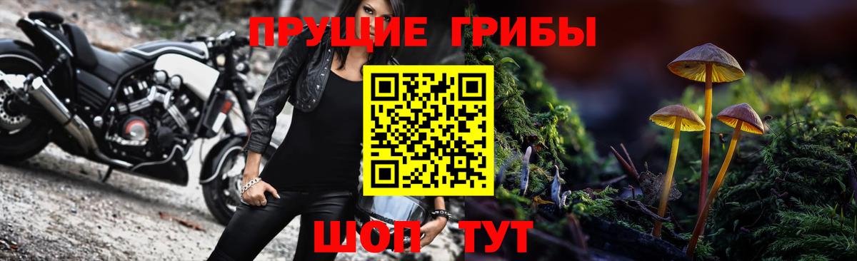 Псилоцибиновые грибы GOLDEN TEACHER Моршанск