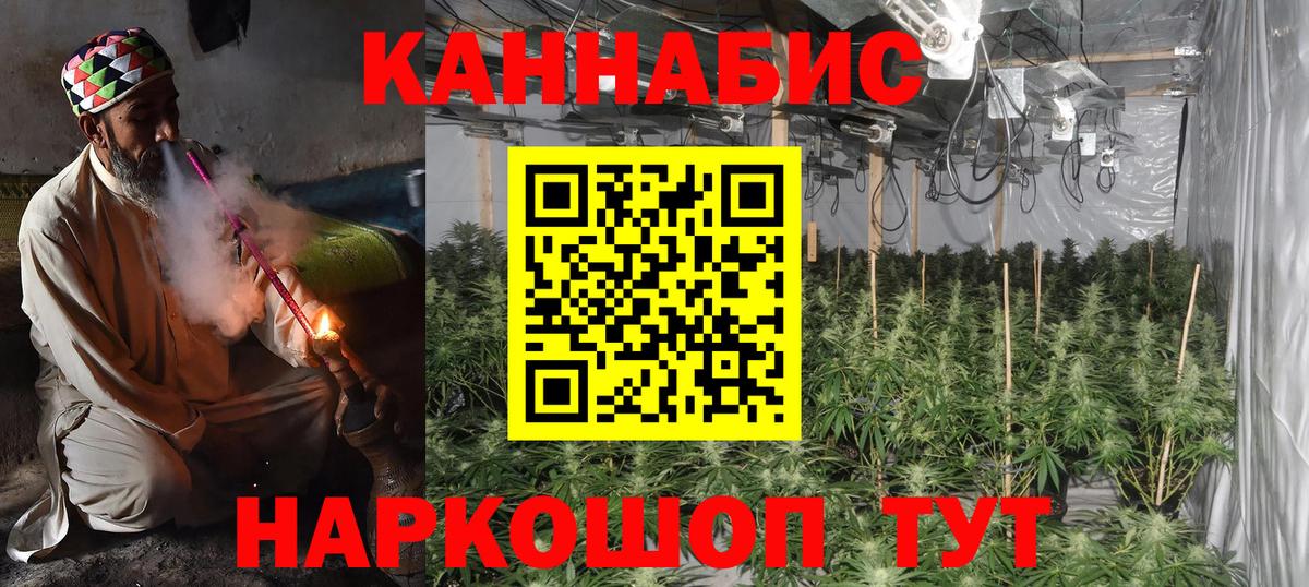 Каннабис сатива Моршанск